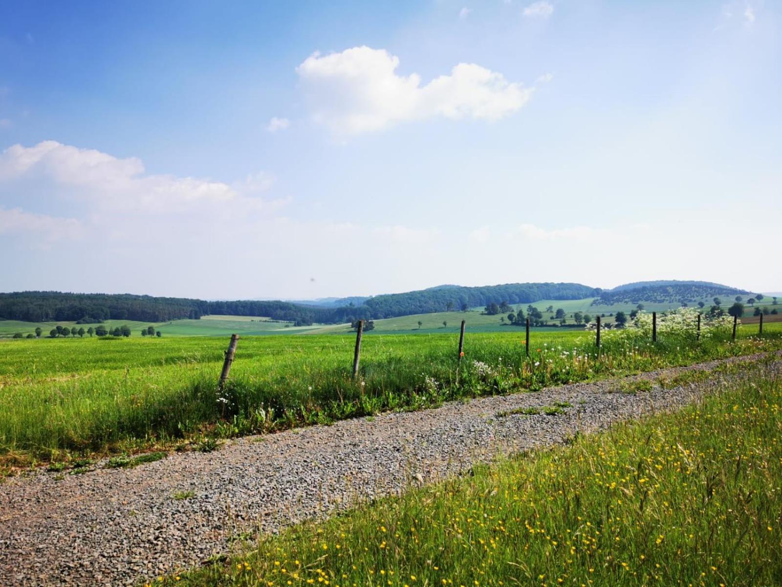 Deine-Eifel-Ferienwohnung Feusdorf Buitenkant foto
