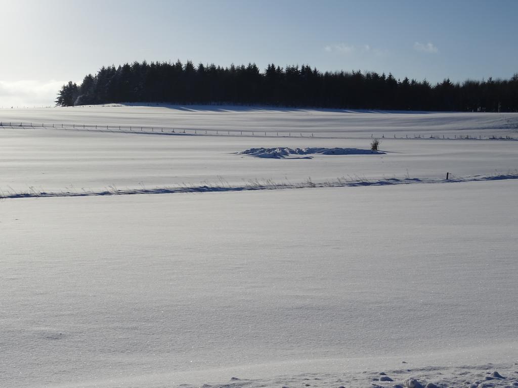 Deine-Eifel-Ferienwohnung Feusdorf Buitenkant foto